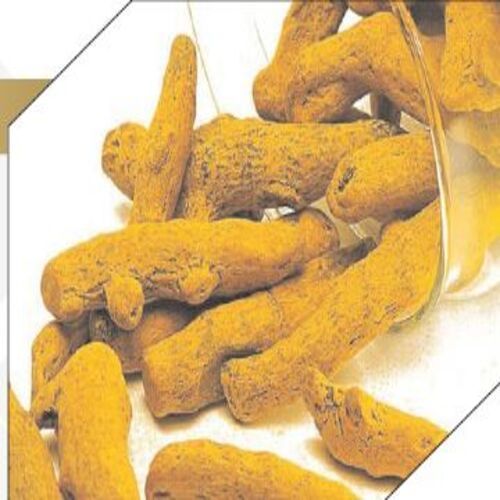 Moisture 10% To 12% Healthy Natural Dried Yellow Turmeric Finger Grade: Polished