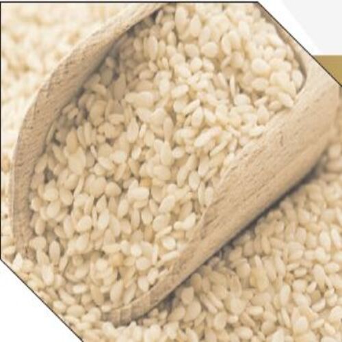 Oil Content 48% Min. FFA 2% Max. Healthy Dried Natural White Sesame Seeds