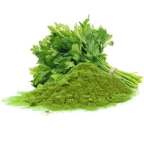 Pure Indian Organic And Naturally Cultivated Field Fresh Green Coriander Leaf Powder