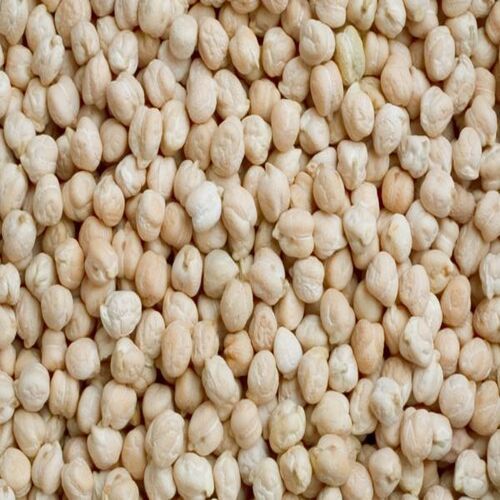 Whole Size 10-12Mm Moisture 13% Healthy And Natural Dried White Chickpeas