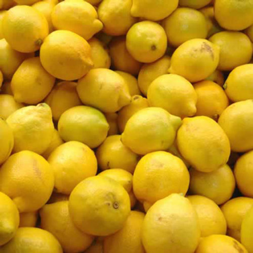 Sour Taste Healthy and Natural Fresh Yellow Lemon