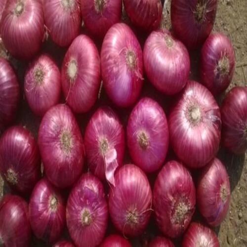 FSSAI Certified Maturity 100% Natural Taste Healthy Organic Fresh Red Onion