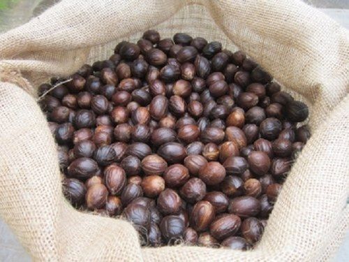Nutmeg With Shell, Pure And Natural (1 Kg)