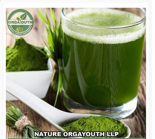 Organic Green Wheatgrass Juice