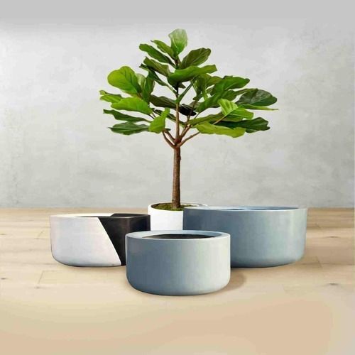 Glyptic Art Ceremic Planter