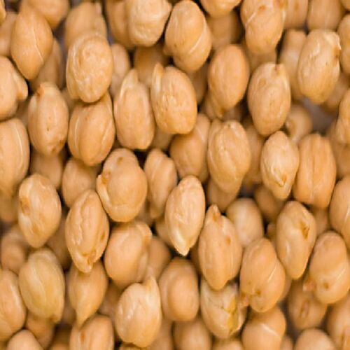 High In Protein Natural Taste Healthy Organic White Chickpeas Grain Size: Standard