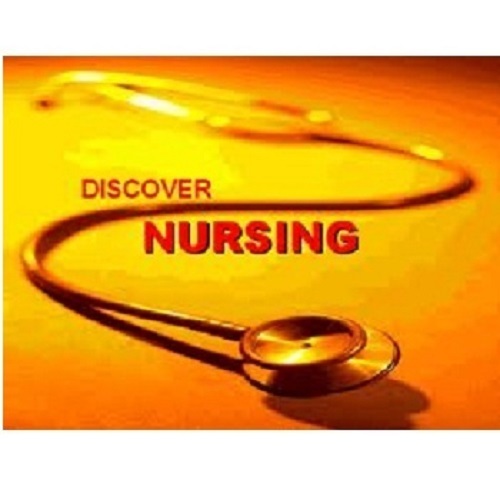 Nursing Job Placement Services By Shielders 'N' Placers (Overseas) Pvt. Ltd.