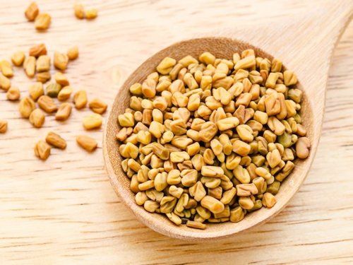Protein 9.5% Fat 10.0% Fiber 18.5% Dried Natural Healthy Organic Fenugreek Seeds