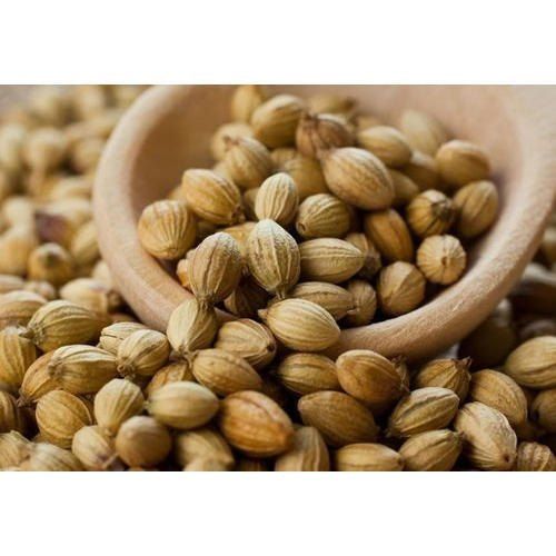 Indian Natural Organic Specially Processed And Sorted Quality Whole Coriander Seeds Spice