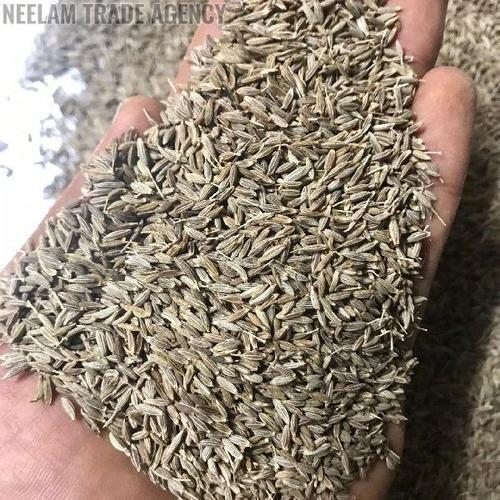 Long Shelf Life No Artificial Color Added Hygenic Healthy Cumin Seeds