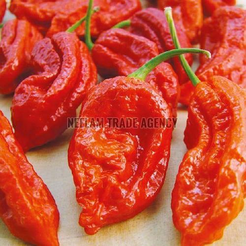 Purity 100% Spicy Taste Organic Red Bhut Jolokia Chilli