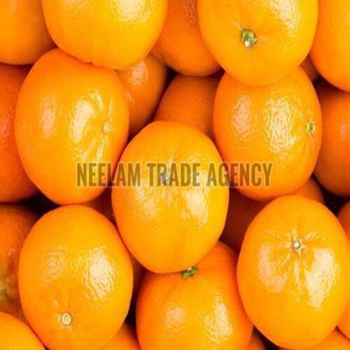 Sweet Natural Taste and Healthy Organic Fresh Orange