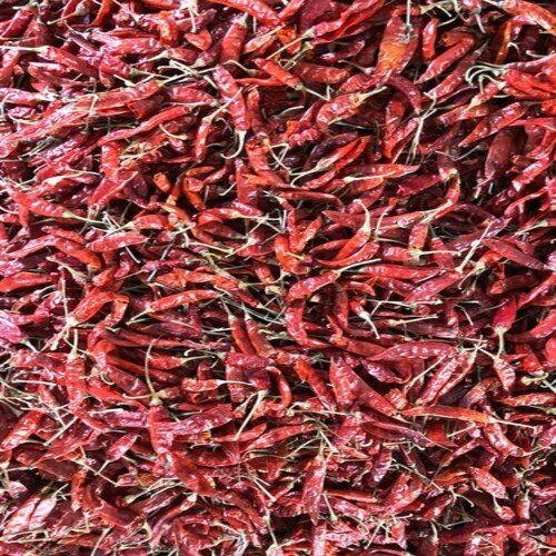 Hot And Spicy With Natural Taste Indian Organic Whole S17 Teja Dry Red Chilli