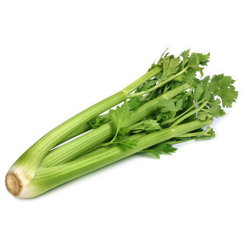 Natural Good Taste and Healthy Organic Fresh Celery Leaves