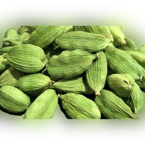 Naturally Green Fresh Big Size And Indian Organic Extra Bold A Grade Green Cardamom