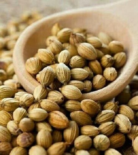 Organic Coriander Seed, Best Quality (Brown Color)