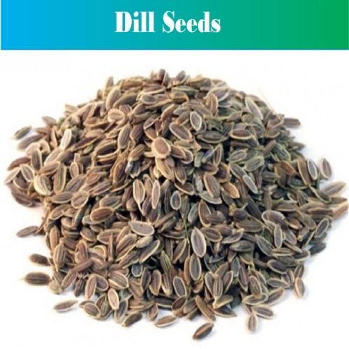 Brown Premium Quality Dill Seeds, Fresh And Organic (Brown Color)