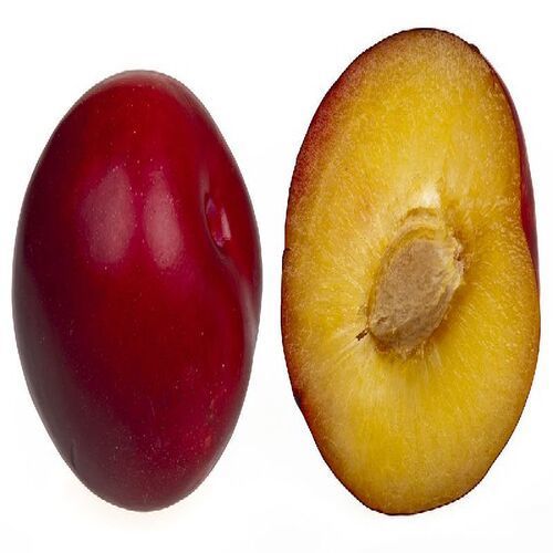 Purity 97% Size 5-7cm Fat Free Healthy And Natural Taste Organic Fresh Plum