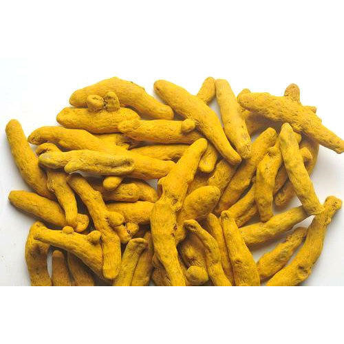 Sorted And Pure Organic Indian Long Type Dried Yellow Turmeric Fingers