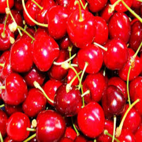 Total Fat 0.3g Maturity 100% Organic Mild Flavor Healthy Red Fresh Cherry 