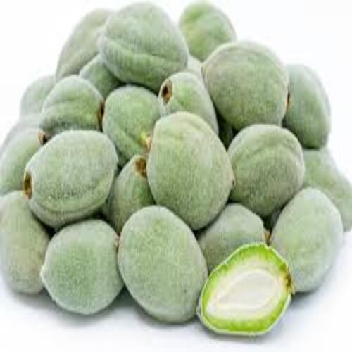 Good Taste Rich In Protein Healthy Organic Green Almonds