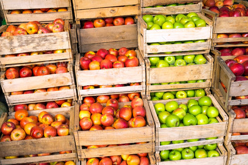 Open Air Green And Red Fresh Apples