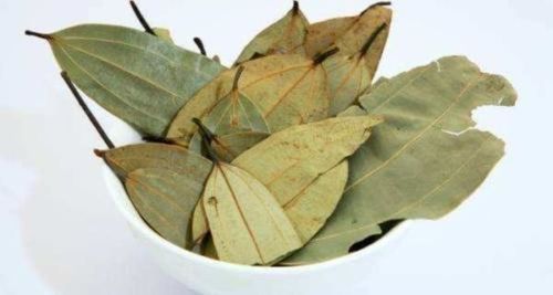 Lef Green Color Tejj Patta (Bay Leaf)