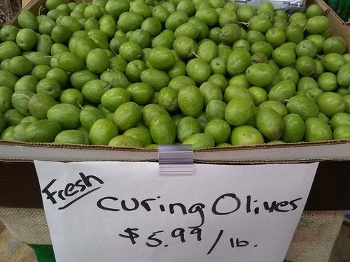 Common Natural Fresh Olives Fruit