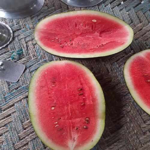 Natural Soft Helathy Delicious Sweet Flavour Healthy Fresh Watermelon