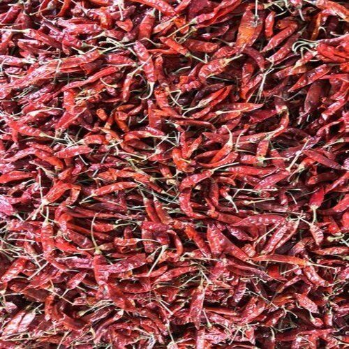 Natural Taste With Hot And Spicy Indian Organic Whole S17 Teja Dry Red Chilli Grade: A Grade