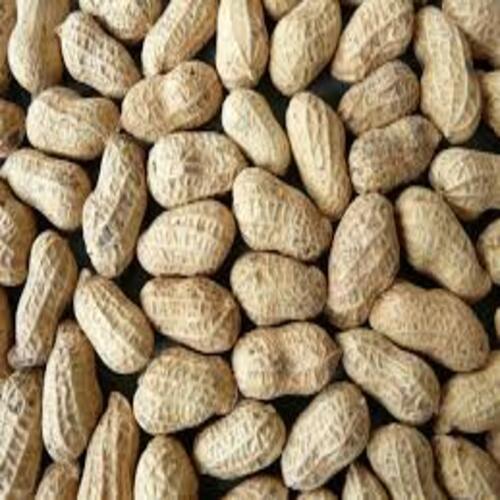 No Preservatives No Artificial Flavour Natural Taste Indian Groundnuts