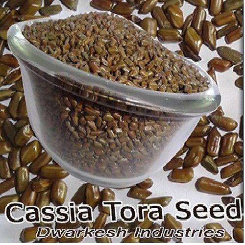 Roasted Cassia Tora Seed