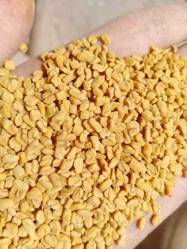 98% Natural Organic Fenugreek Seeds