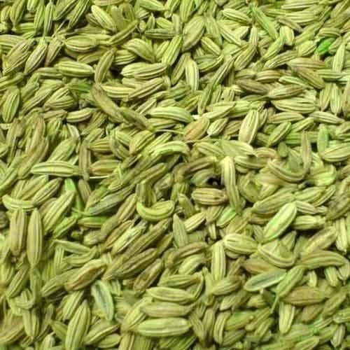 Green Clean And Big Size Harvested And Field Fresh Sorted Pure Indian Whole Organic Sweet Marwad Fennel Seed Spice