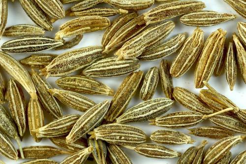 Dried Natural Cumin Seed