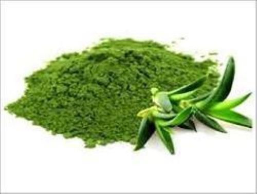 Green Color Aloe Vera Powder