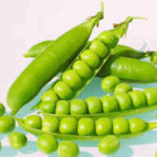 Healthy Nutritious Delicious Natural Taste Organic Fresh Green Peas By A & S Exports