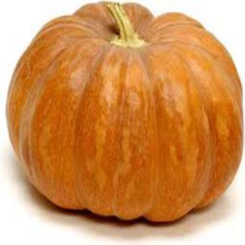 Round & Oval Natural Taste Healthy Easy To Digest Fresh Pumpkin