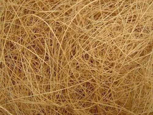 Eco-Friendly Eco Friendly Coir Fiber 