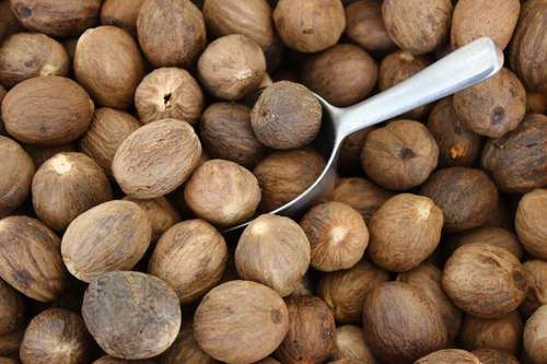 Dried Nutmeg (Myristica Fragrans)