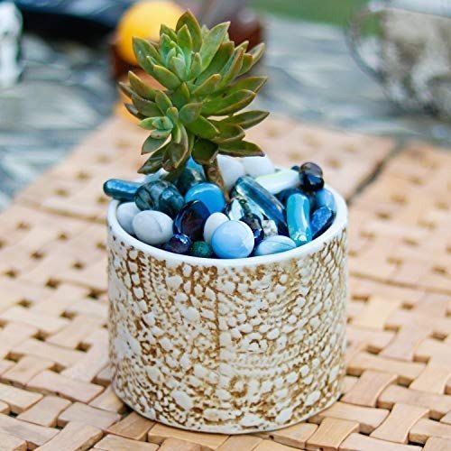 Various Colors Are Available Designer Ceramic Pots For Indoor Planters