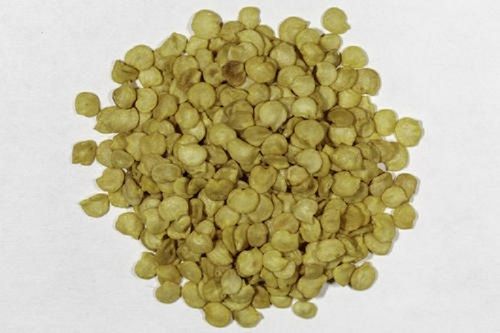 Fresh And Organic Dried White Pepper Seeds For Cooking And Pickles Grade: High Grade