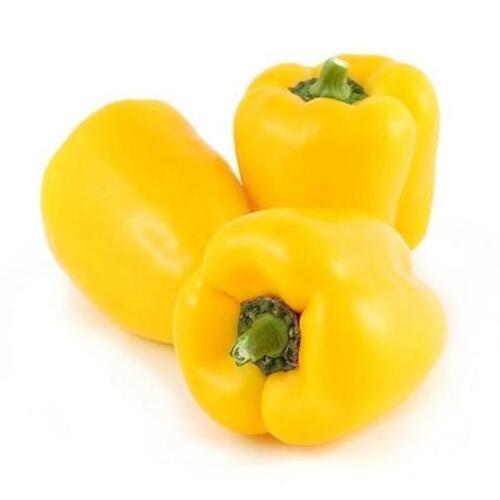 Maturity 100% Healthy Natural Taste Organic Fresh Yellow Capsicum