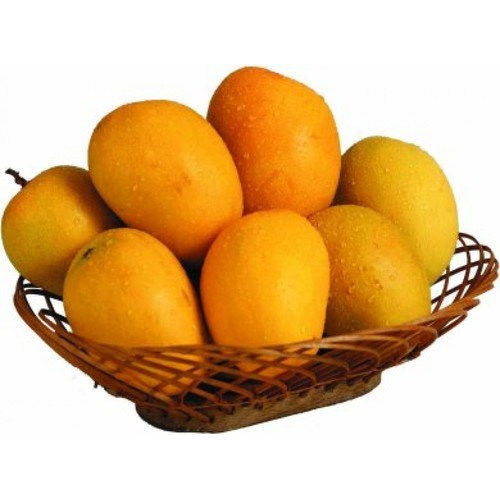 Non Pesticide Delicious Sweet Natural Healthy Organic Yellow Hapus Mango