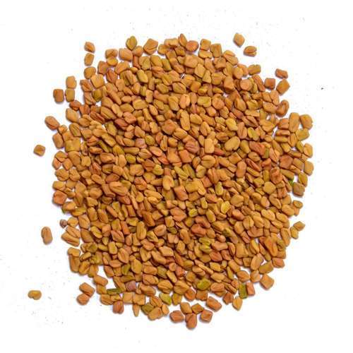 Organic Fenugreek Seed, High Purity, Hygienically Processed Indian Methi