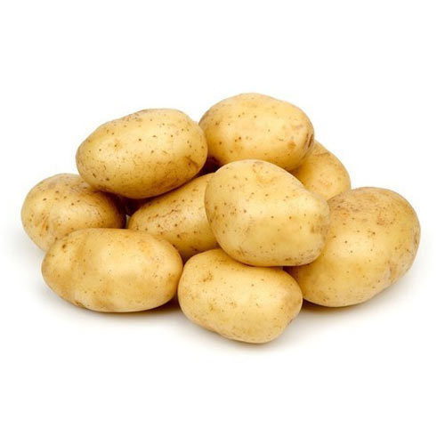Size 45mm to 90mm No Preservatives Natural Taste Healthy Brown Fresh Potato