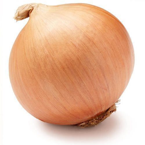 Medium Size Yellow Onion