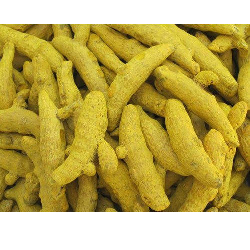 Naturally Pure And Long Dried Yellow Turmeric Fingers Cum Stick Organic Indian A Grade And Polished
