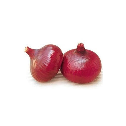 Organic Premium Red Onion