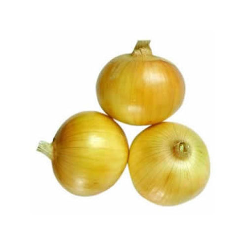 Round Organic Yellow Color Onion